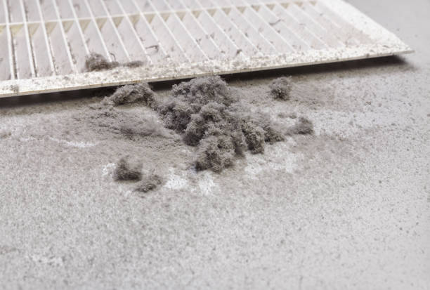Best Best Air Duct Cleaning Company  in Merryville, LA